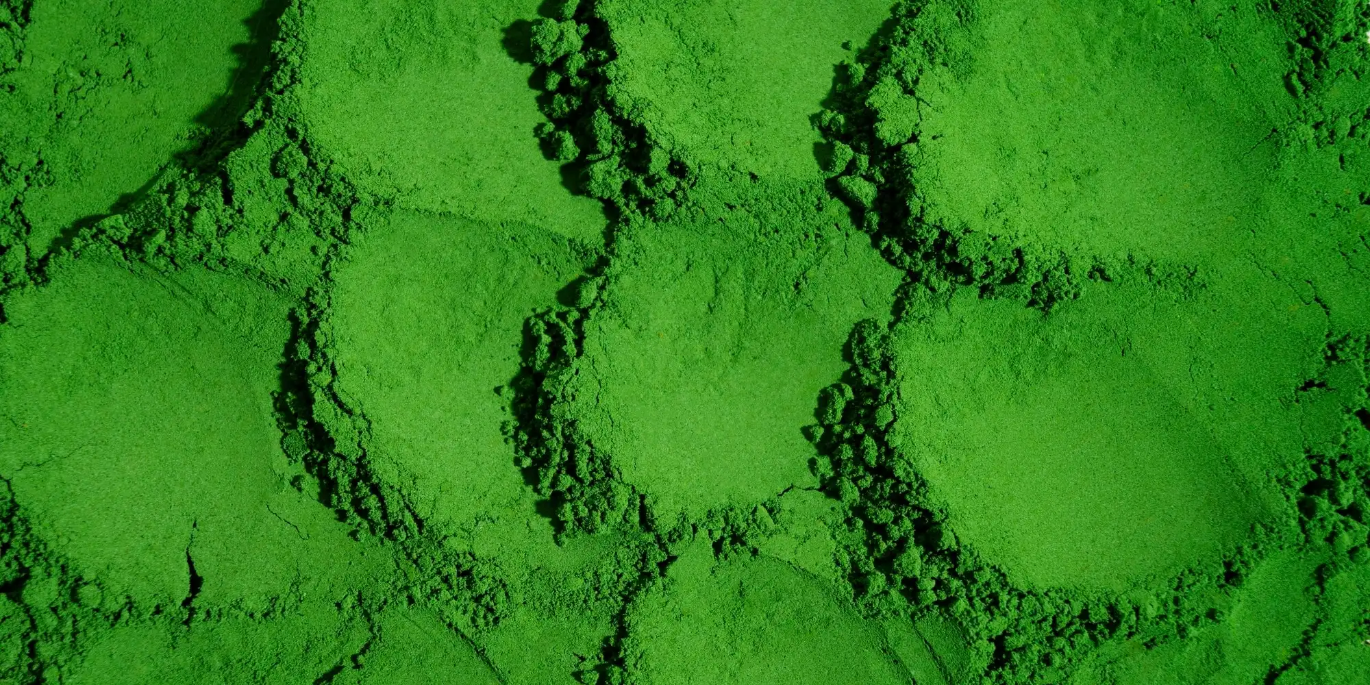 Revolutionizing Comfort: The Role of Diatom Materials in EVA Foam Products